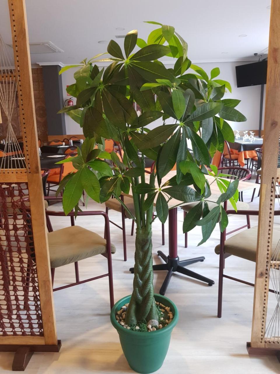 Hostal Restaurante El Abuelo Trobajo Del Camino Kültér fotó